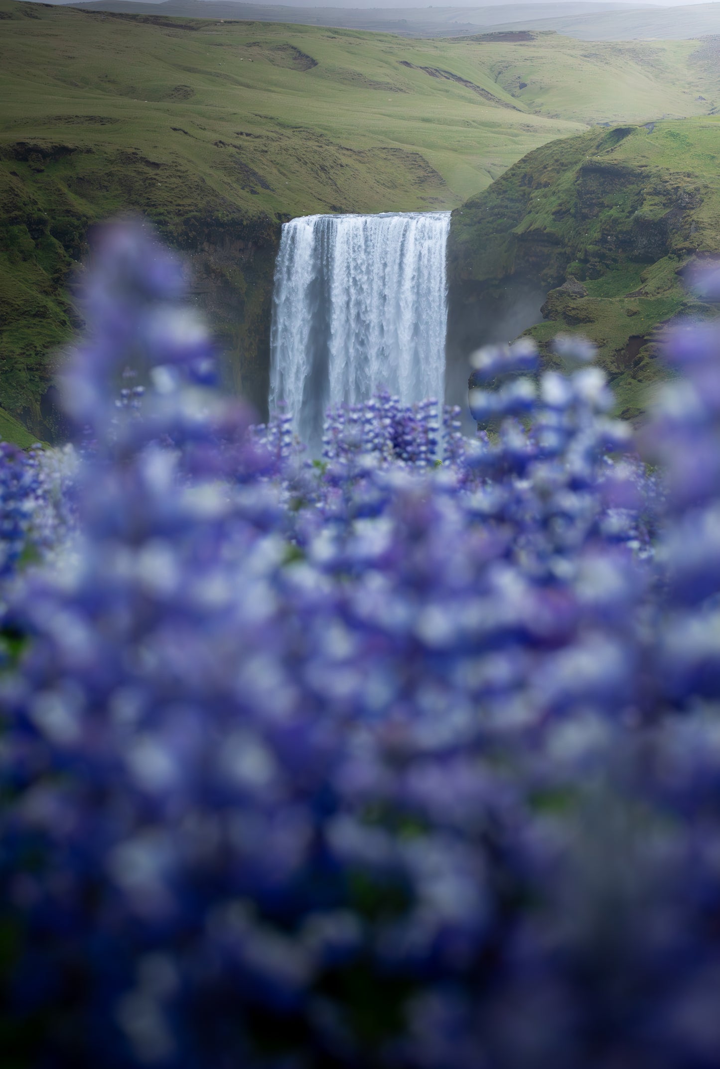 Icelandic Beauty